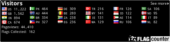 Flag Counter