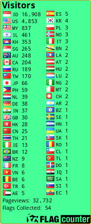 Flag Counter
