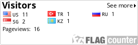 Flag Counter