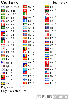 Flag Counter