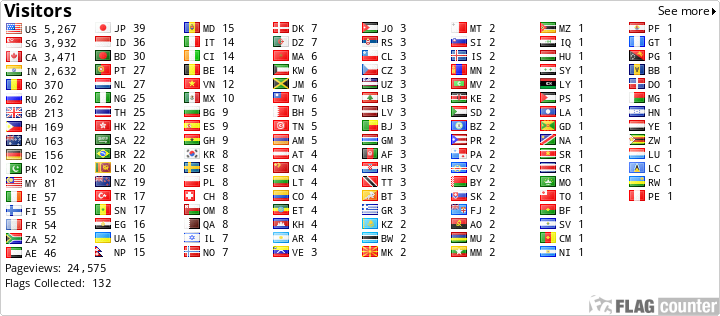 Flag Counter