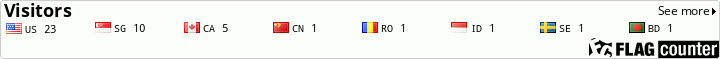 Flag Counter