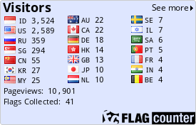 Flag Counter