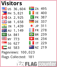 Flag Counter