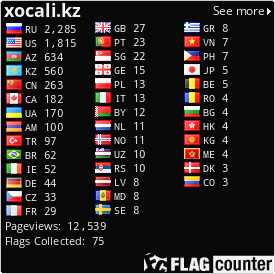 Flag Counter
