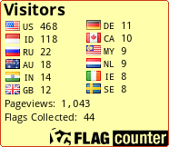 Flag Counter