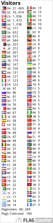 Flag Counter