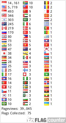 Flag Counter