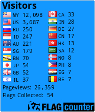 Flag Counter