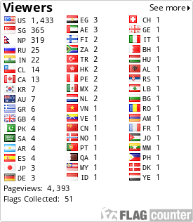 Flag Counter