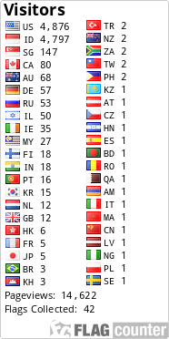 Flag Counter
