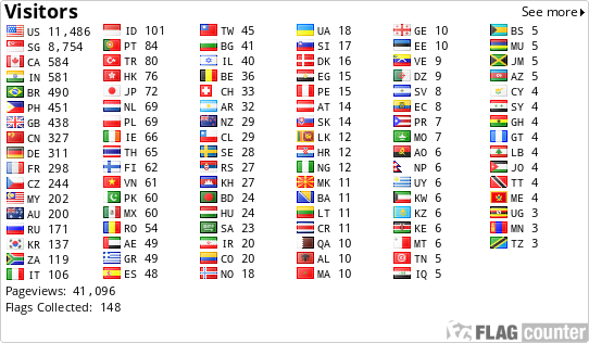 Flag Counter