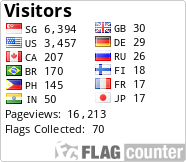 Flag Counter