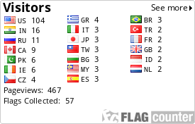 Flag Counter
