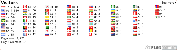 Flag Counter
