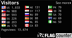 Flag Counter