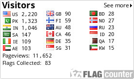 Flag Counter