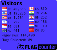 Flag Counter