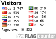 Flag Counter