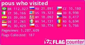 Flag Counter