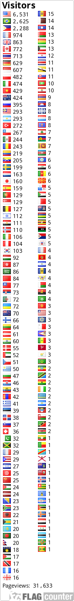 Flag Counter