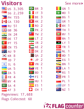 Flag Counter