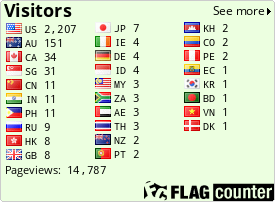 Flag Counter