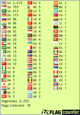 Flag Counter