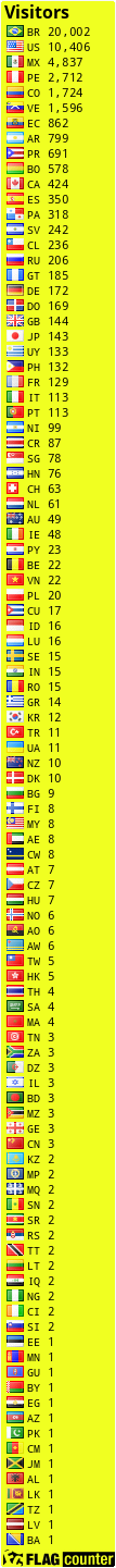 Flag Counter