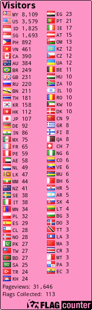 Flag Counter