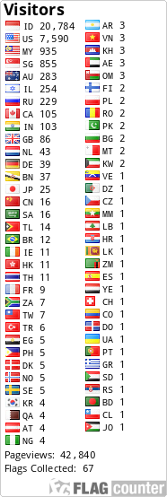 Flag Counter