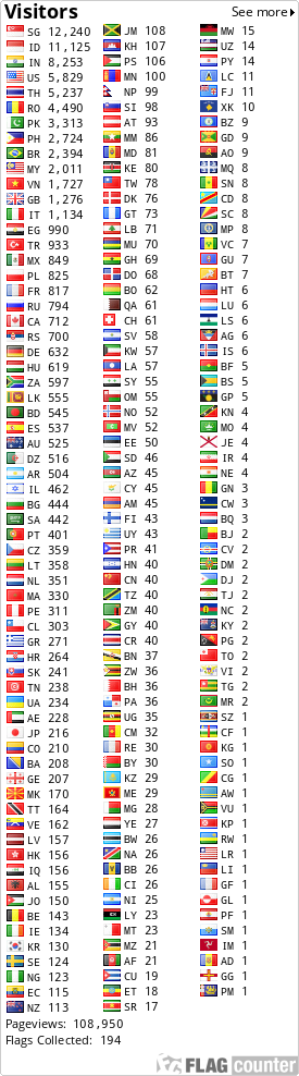 Flag Counter