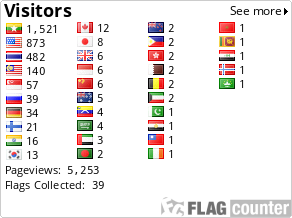 Flag Counter