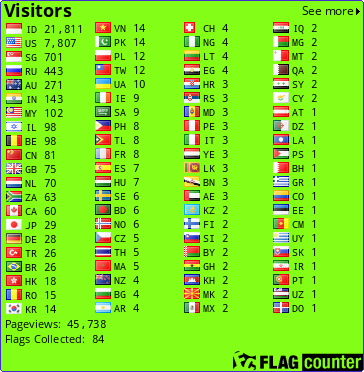Flag Counter