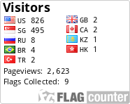 Flag Counter
