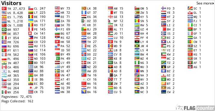 Flag Counter