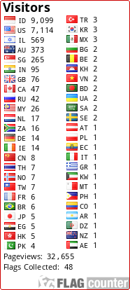Flag Counter