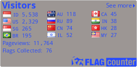 Flag Counter