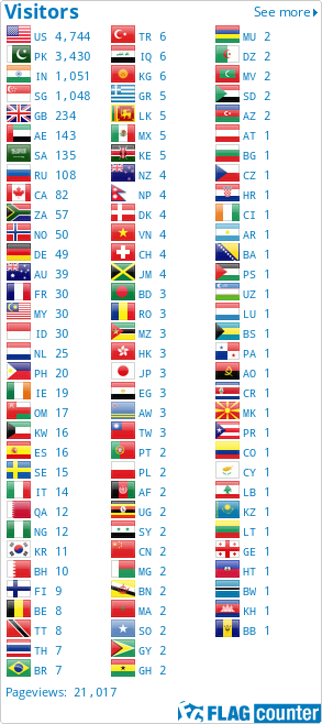 Flag Counter