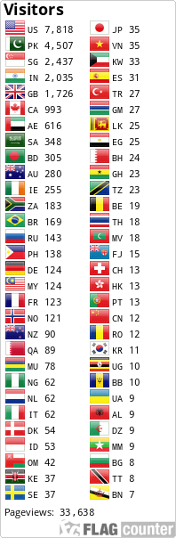Flag Counter