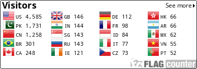 Flag Counter