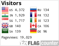 Flag Counter