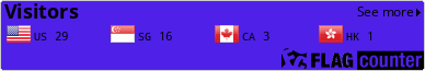 Flag Counter