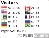 Flag Counter