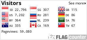 Flag Counter