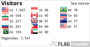 Flag Counter