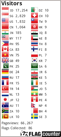 Flag Counter
