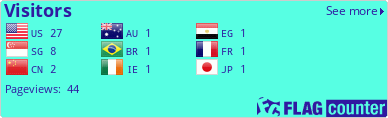 Flag Counter