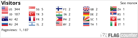Flag Counter