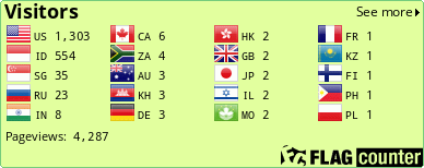 Flag Counter